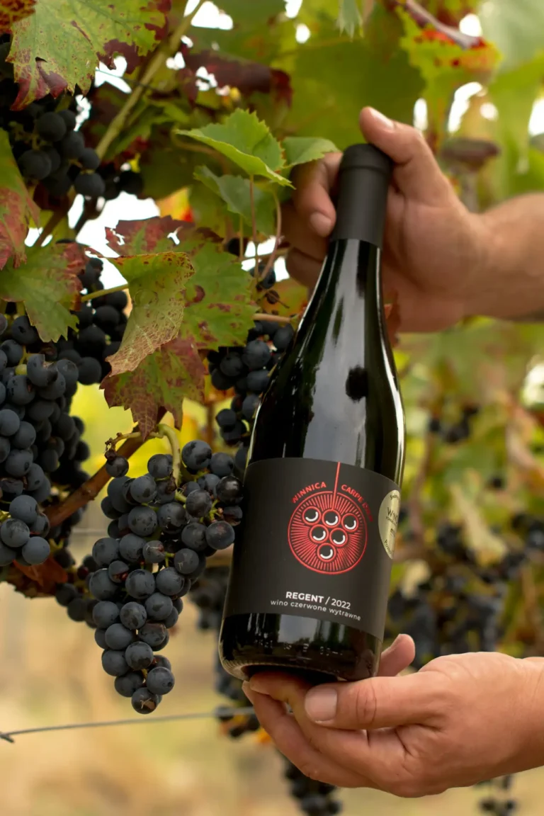 Renesans winiarstwa w sercu Wielkopolski